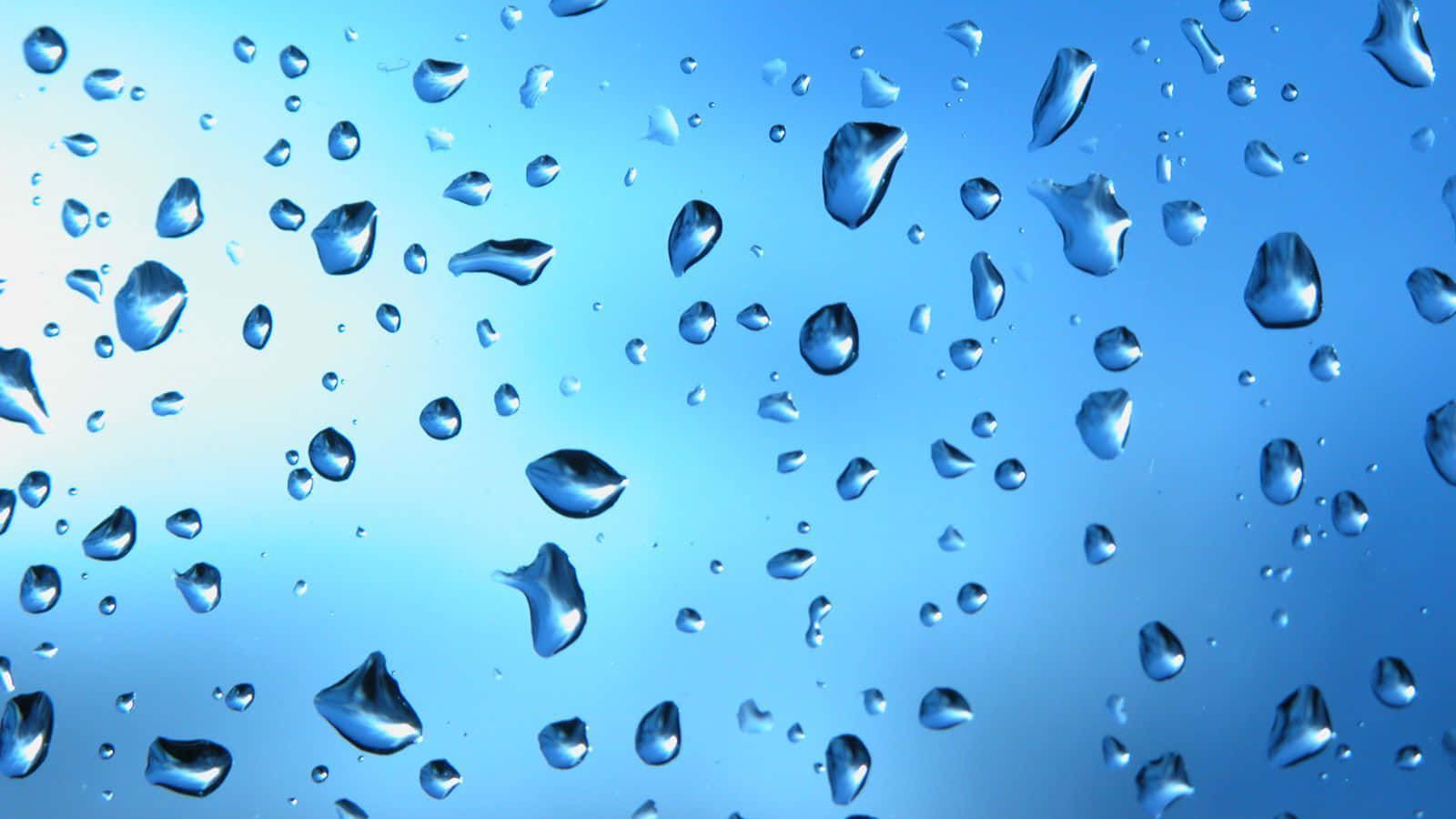 1600x900 Download Caption: Saving Every Drop: Water Conservation In Nature Wallpaper