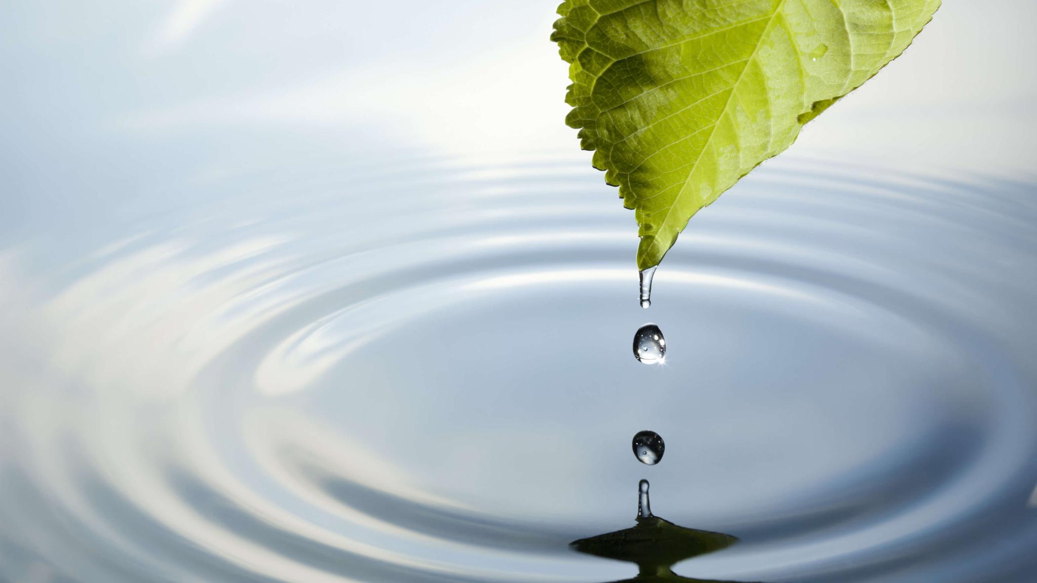 2048x1152 Water conservation. Publix Corporate Social Responsibility