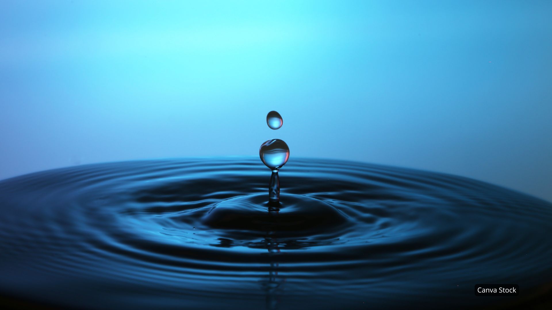 1920x1080 Water Wise Gardening: Save Water, Grow Green! County Master Gardener Association