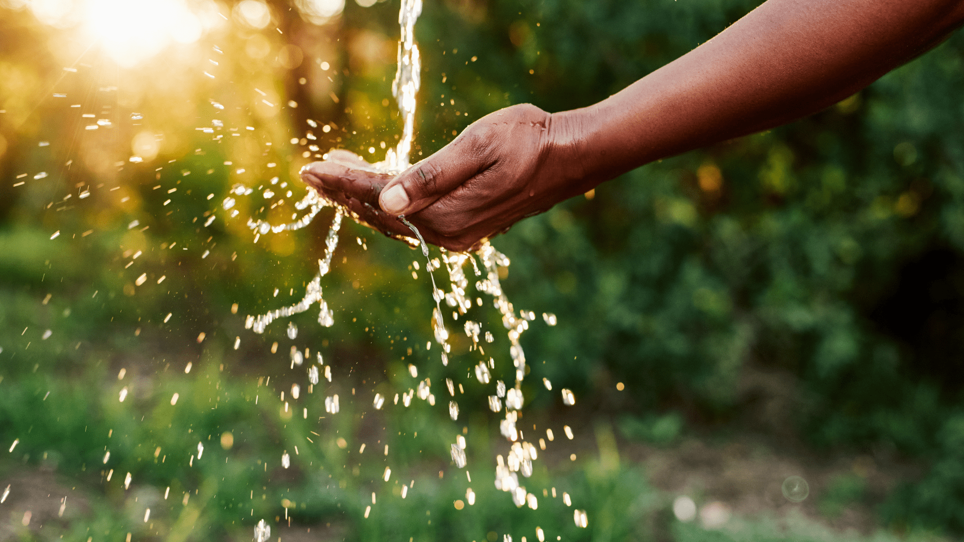 1920x1080 Water Conservation: 7 Simple Ways to Reduce Water Usage in Everyday Li