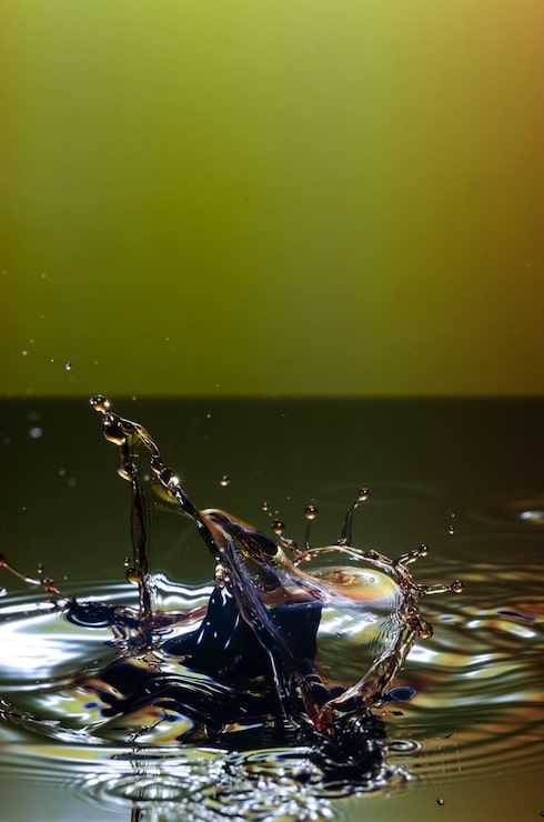 490x740 Water conservation laws Image