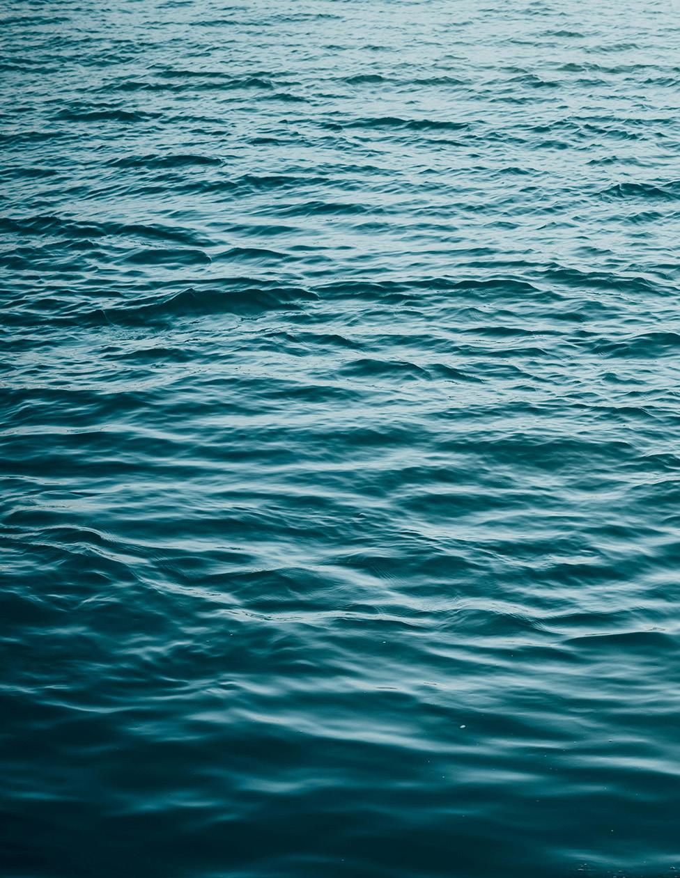 976x1261 A GUIDE TO WATER CONSERVATION