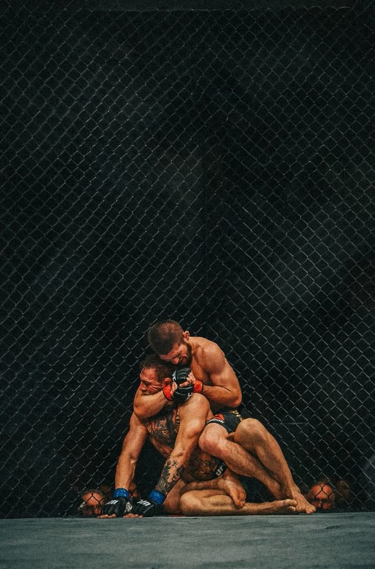 736x1117 Khabib Nurmagomedov vs Conor McGregor wallpaper