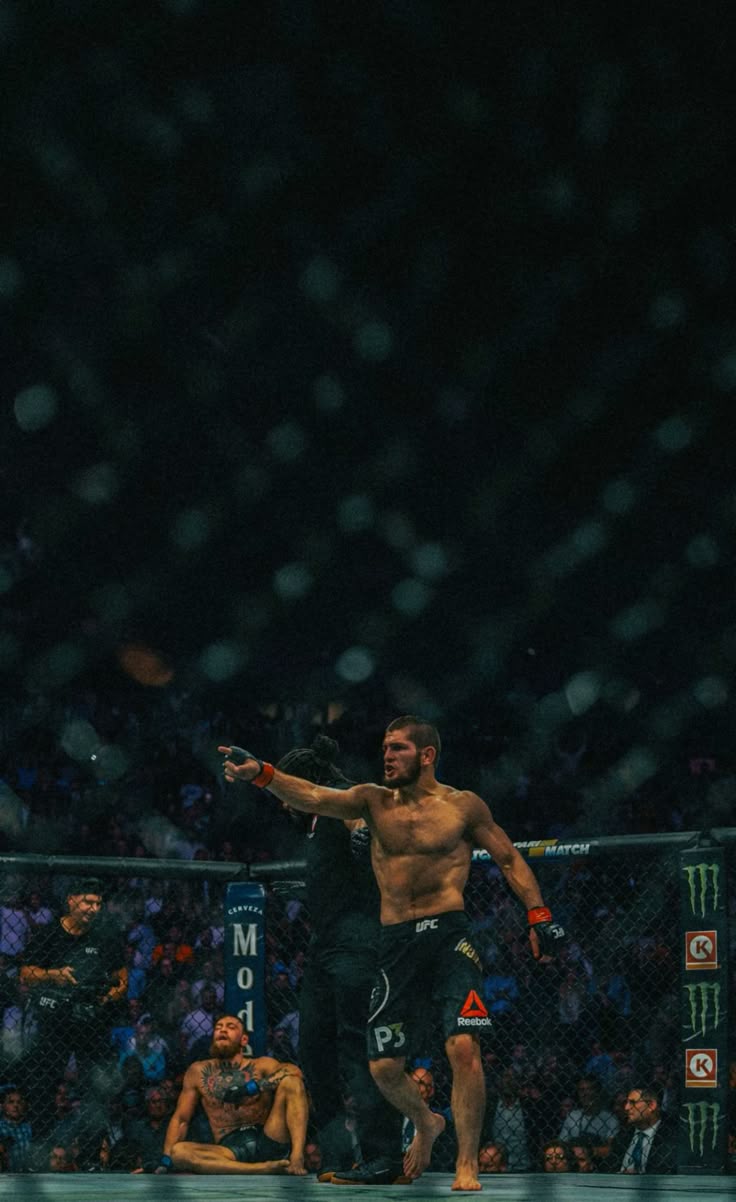 736x1202 Khabib Nurmagomedov vs Conor McGregor wallpaper