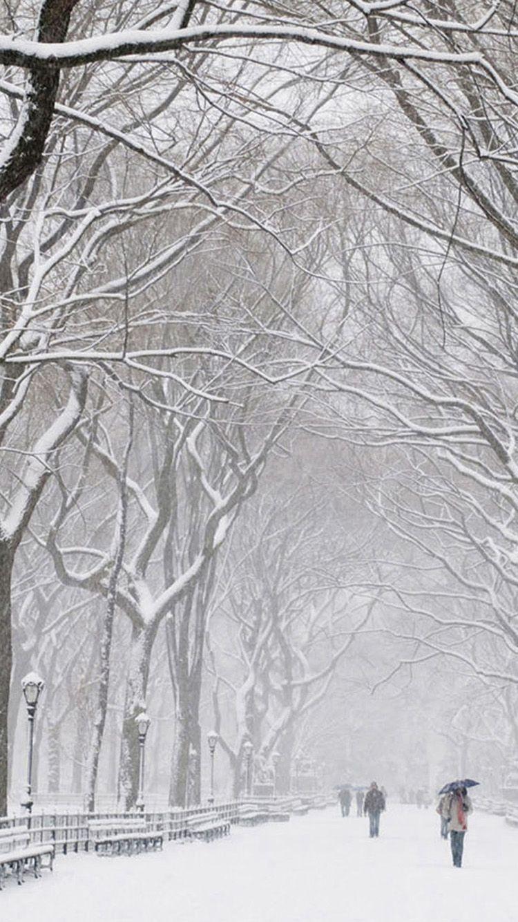 750x1334 Free download Winter Wallpaper iPhone Winter Street iPhone 6