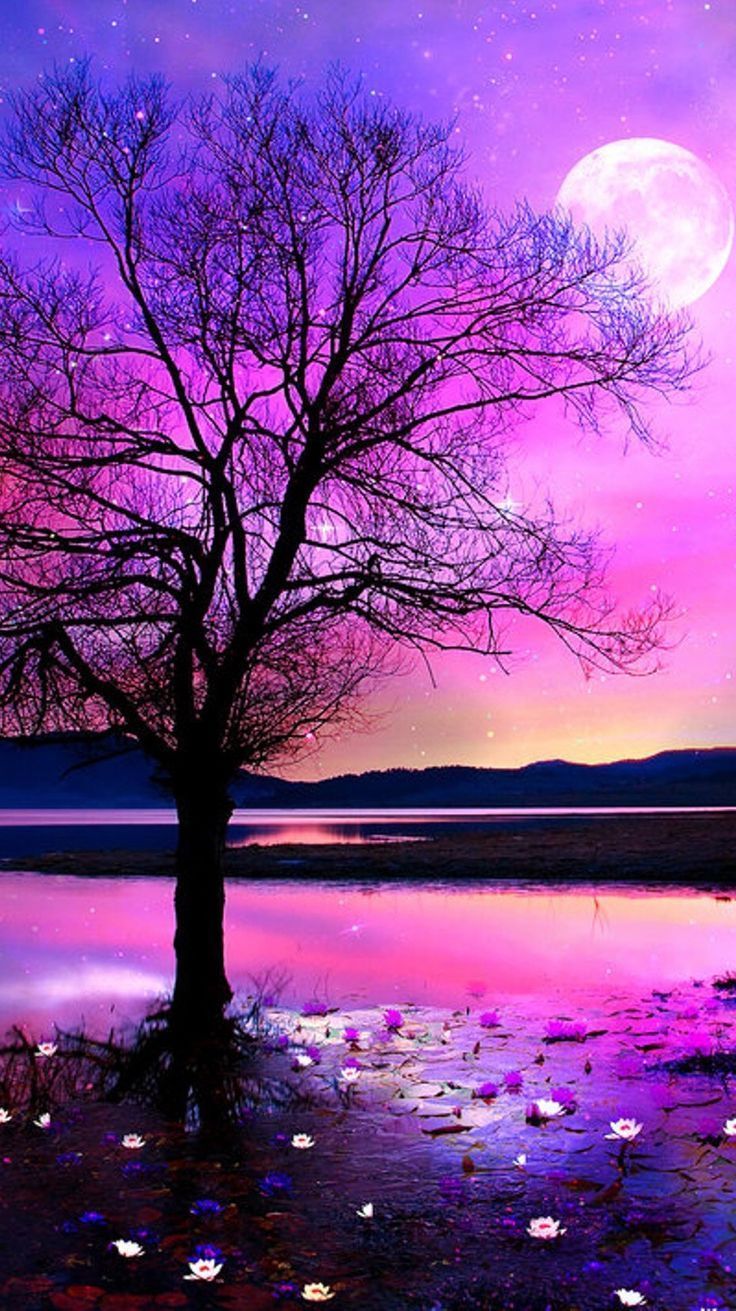 736x1311 Beautiful nature wallpaper ideas. nature wallpaper, beautiful nature, beautiful nature wallpaper