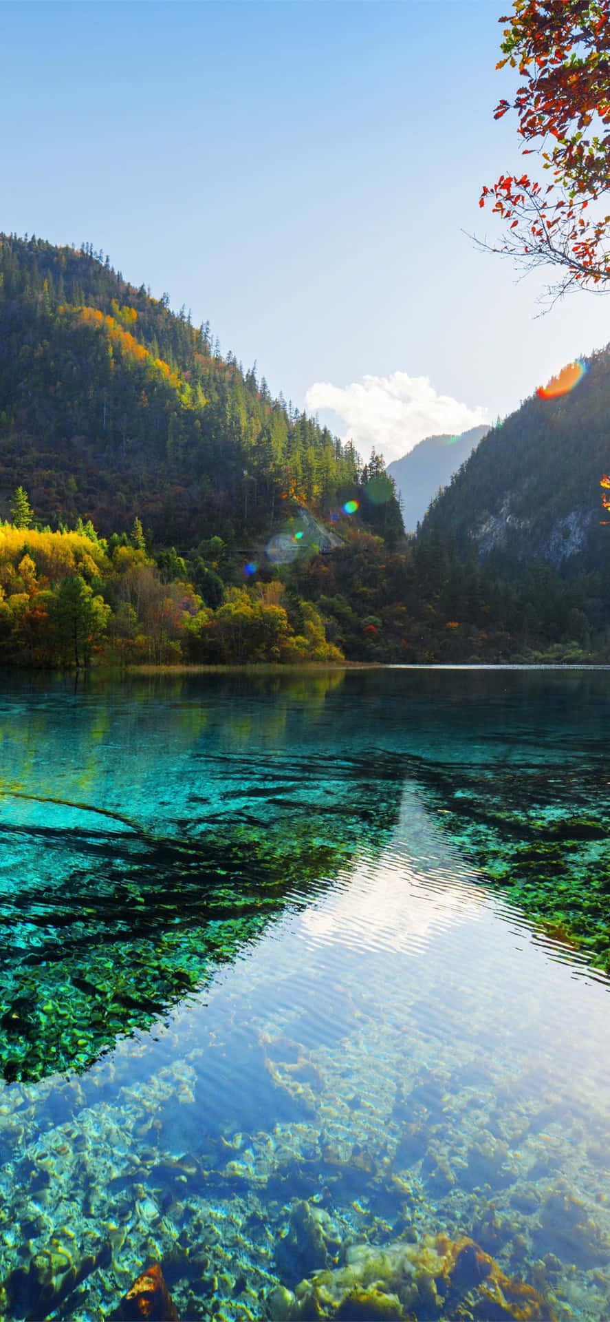 887x1920 Download A scenic look of the beautiful nature Wallpaper