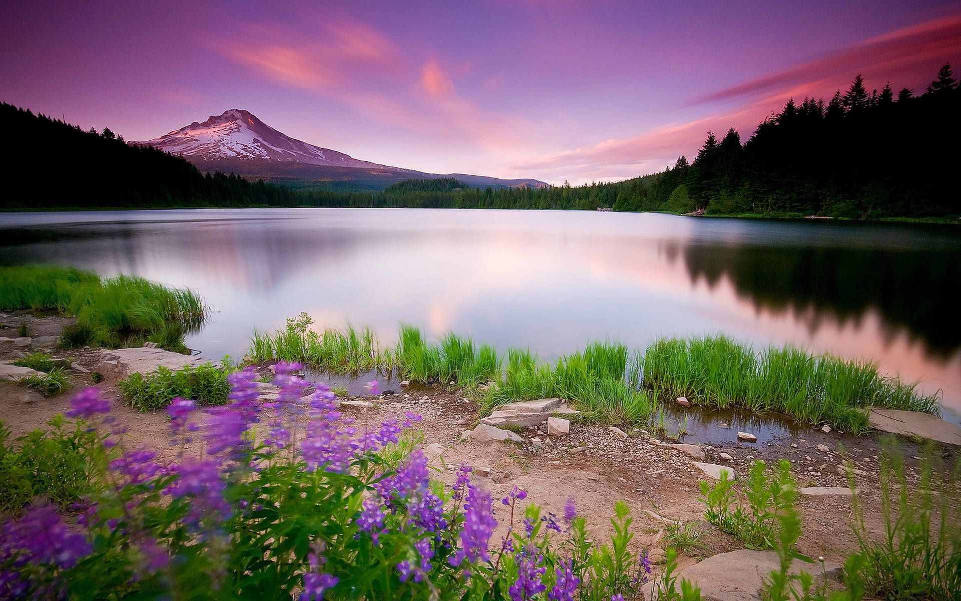 1920x1200 Download Purple Sky Most Beautiful Nature Wallpaper