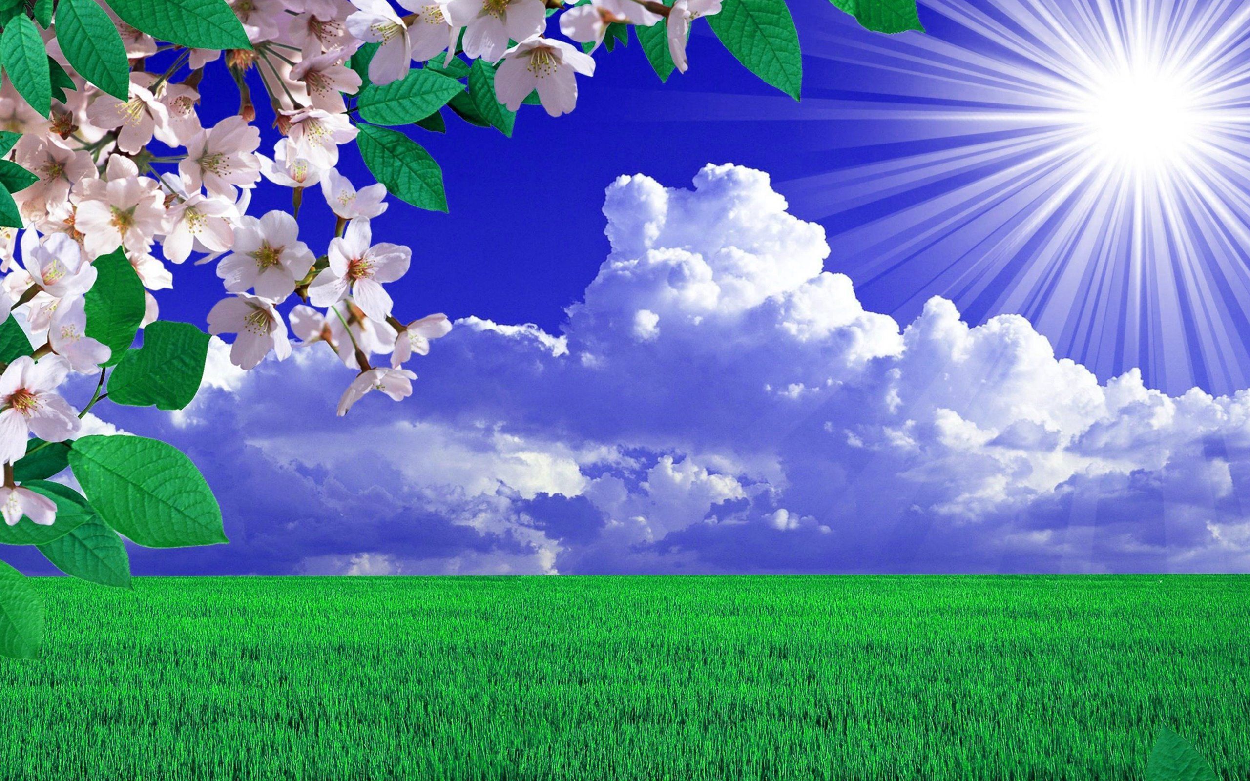 2560x1600 Beautiful nature wallpaper HD ideas. beautiful nature wallpaper, beautiful nature, nature wallpaper