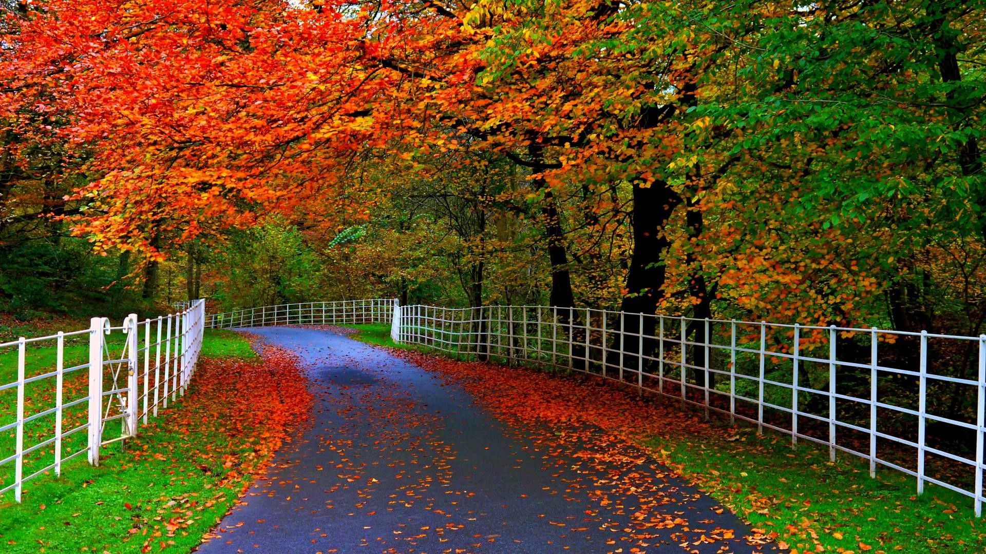 1920x1080 NATURE