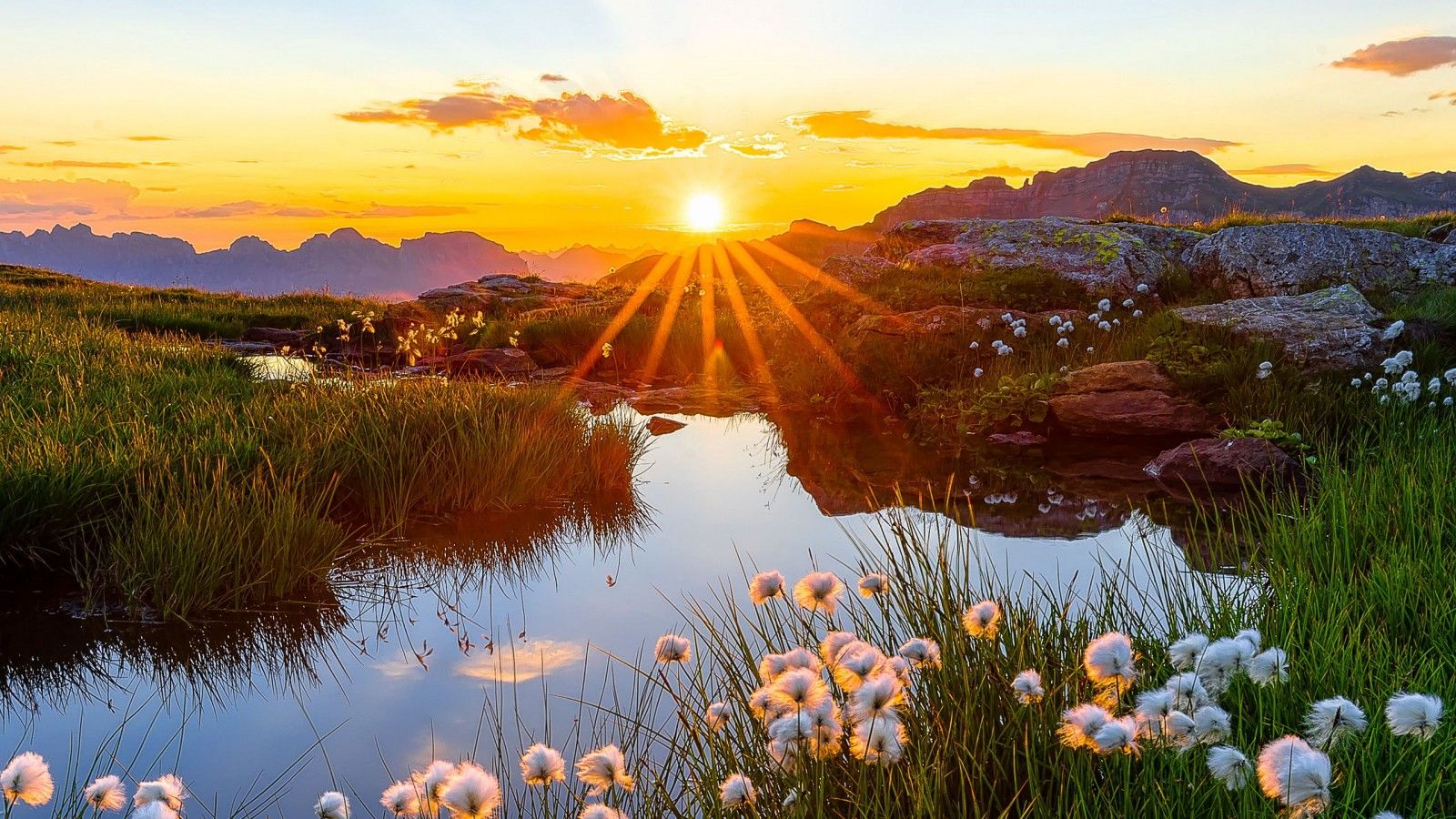 1600x900 rays landscape white flowers pond sunrise grass reflection mountains wallpaper sky background HD Nature Wallpaper