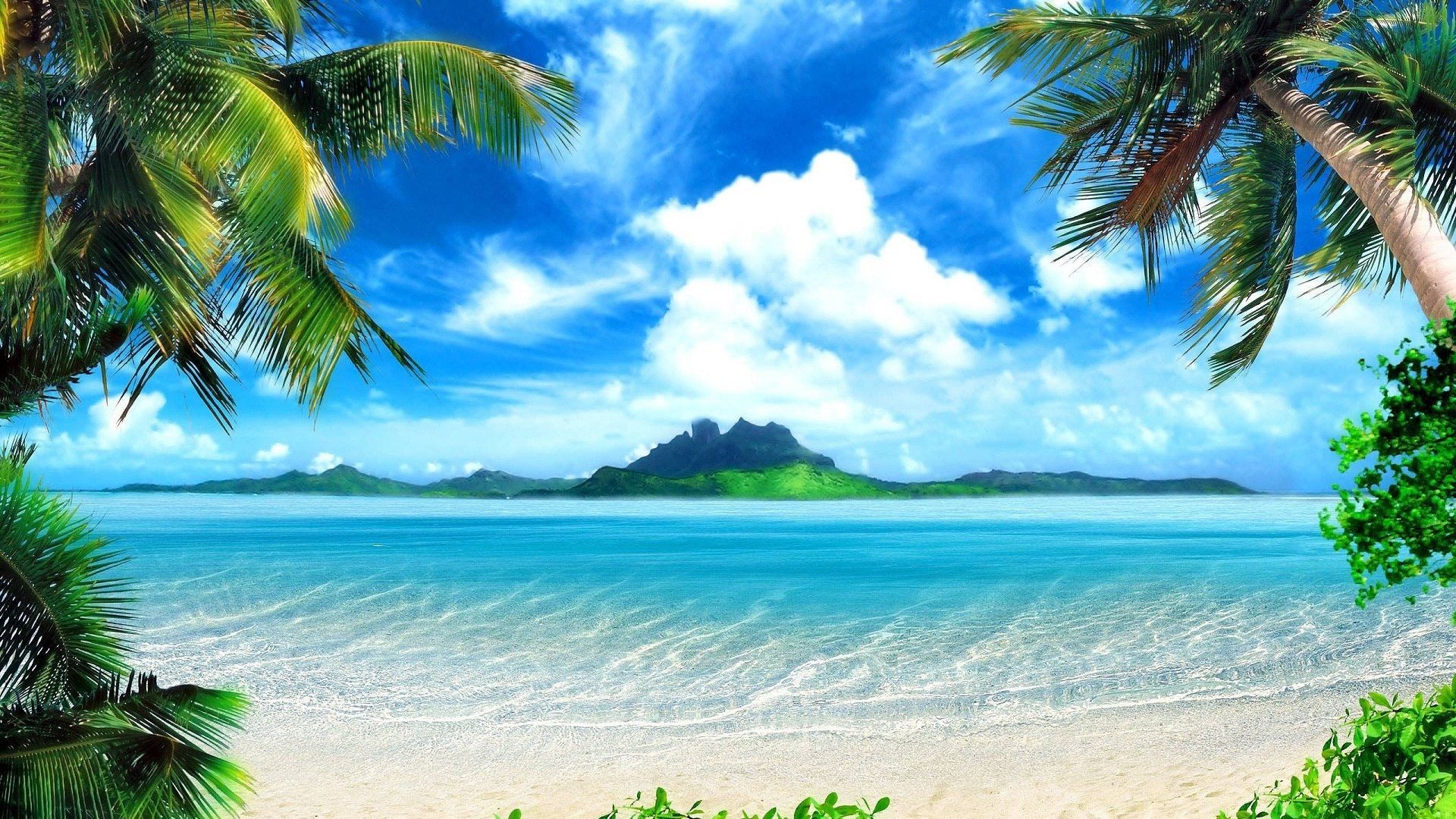 1920x1080 Nature Desktop Background