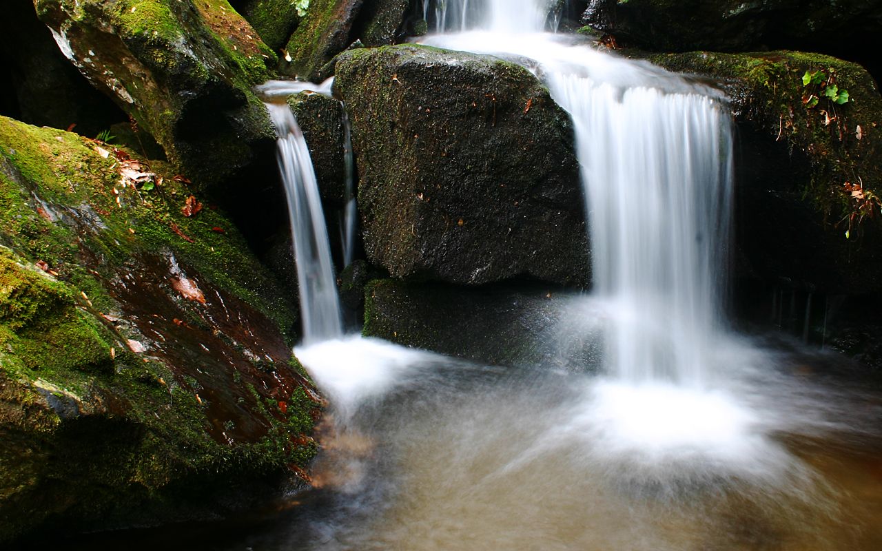 1280x800 Nature Wallpaper Set 70