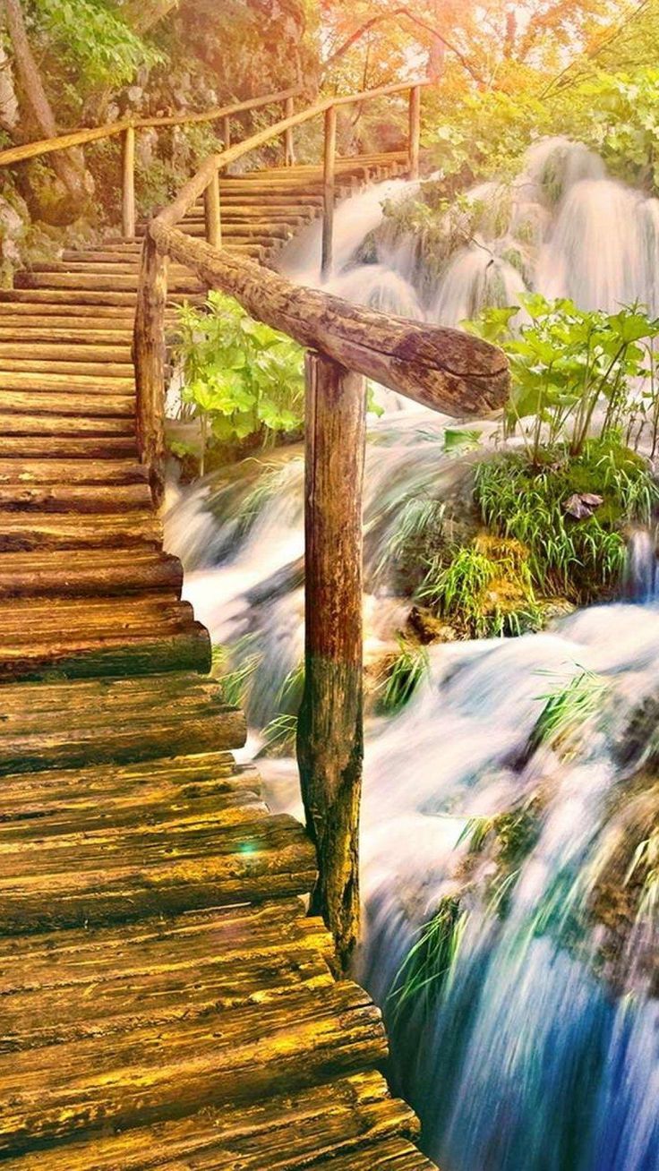 736x1308 Beautiful Nature