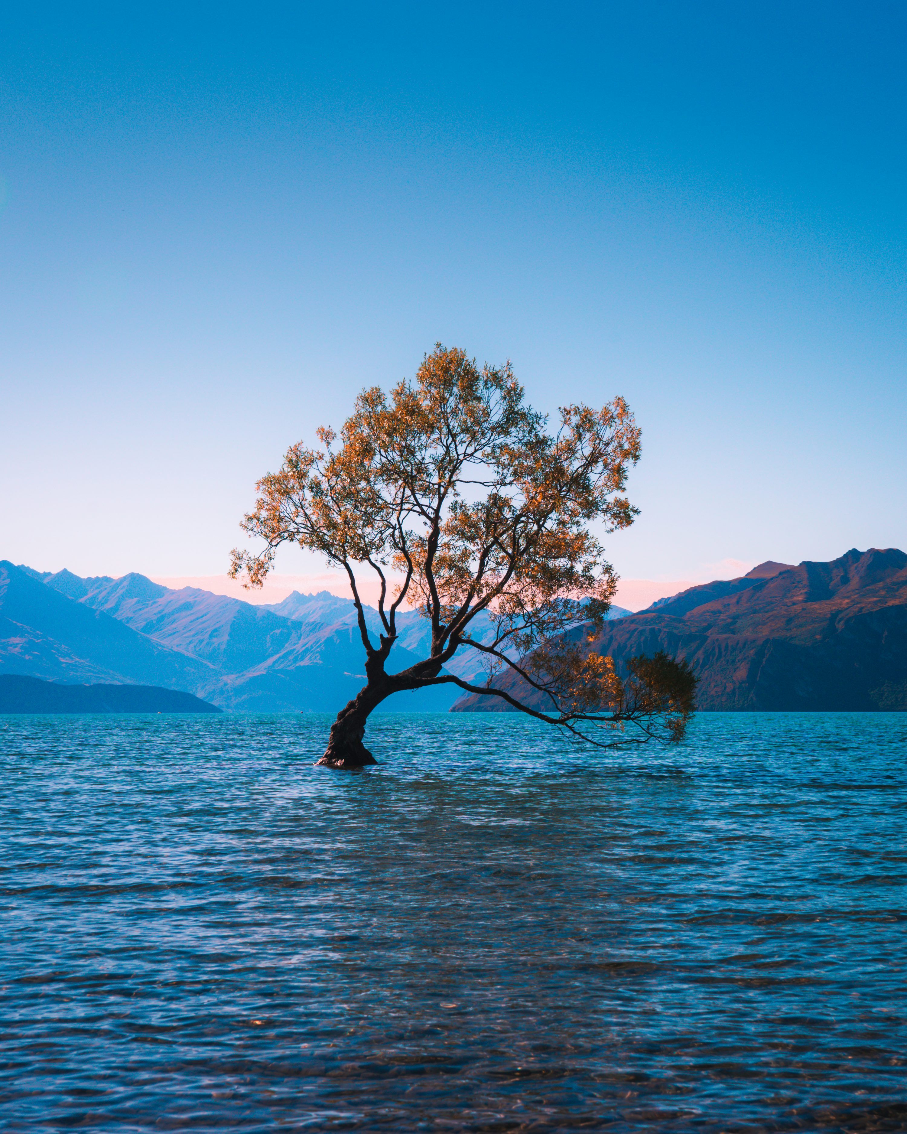 3000x3750 Natural Image [HD]. Download Free Nature Picture