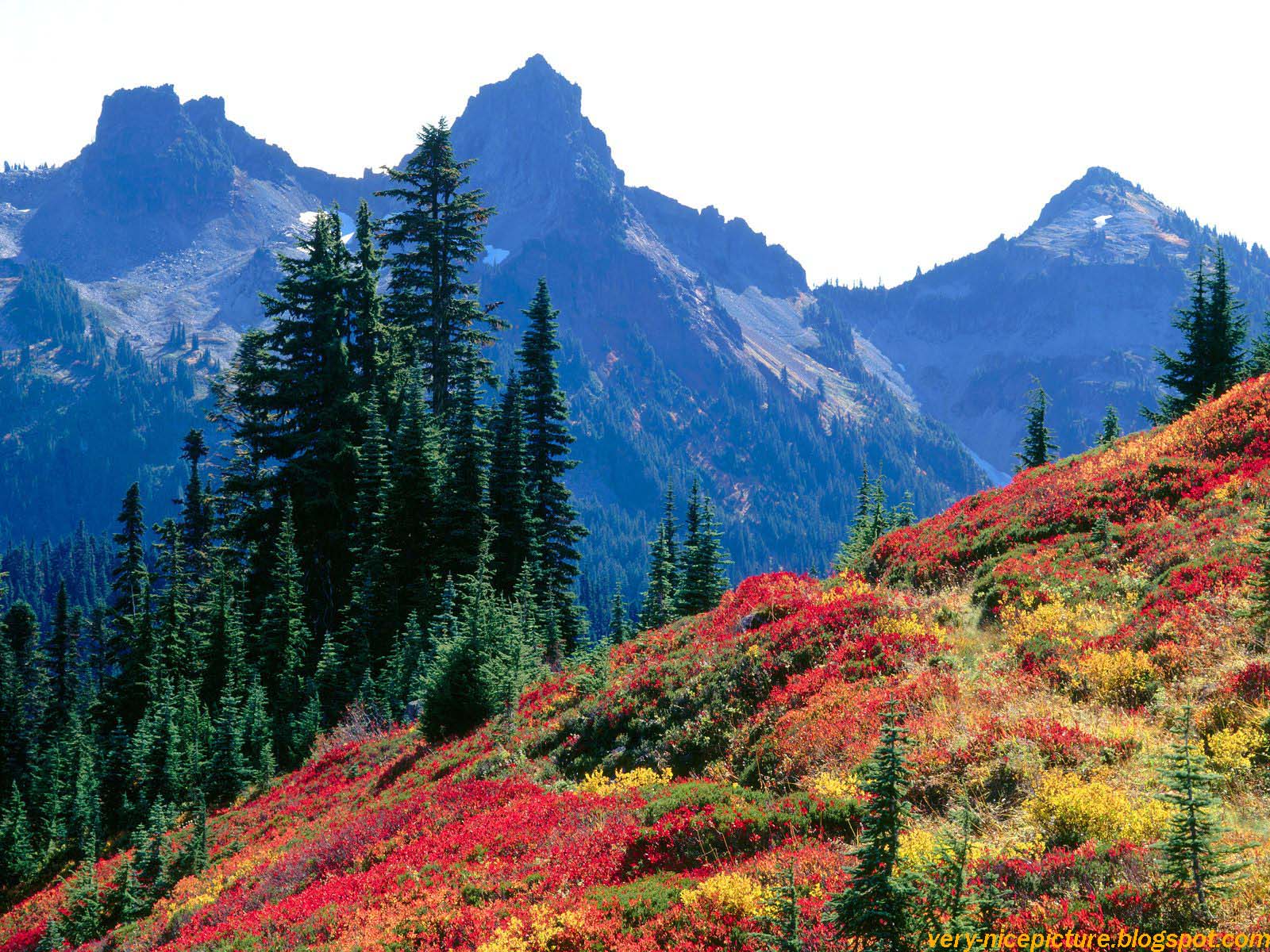 1600x1200 Nature wallpaper for desktop full size