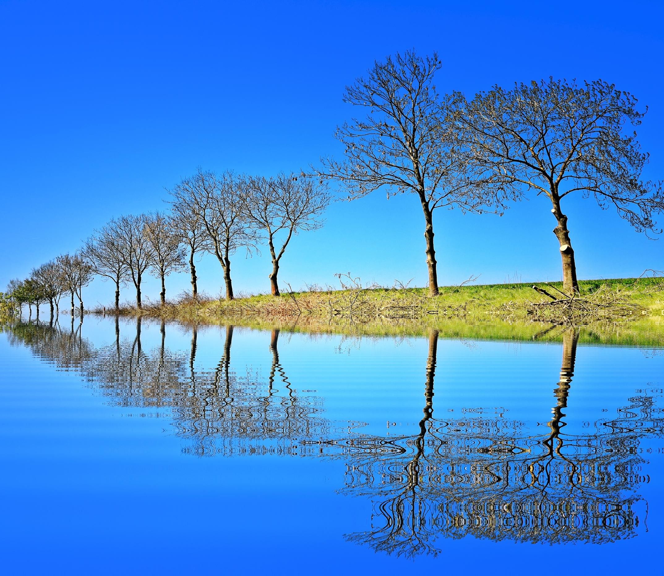 2147x1862 Nice Nature Wallpaper For Phone
