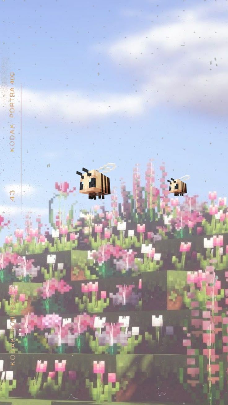 736x1308 minecraft