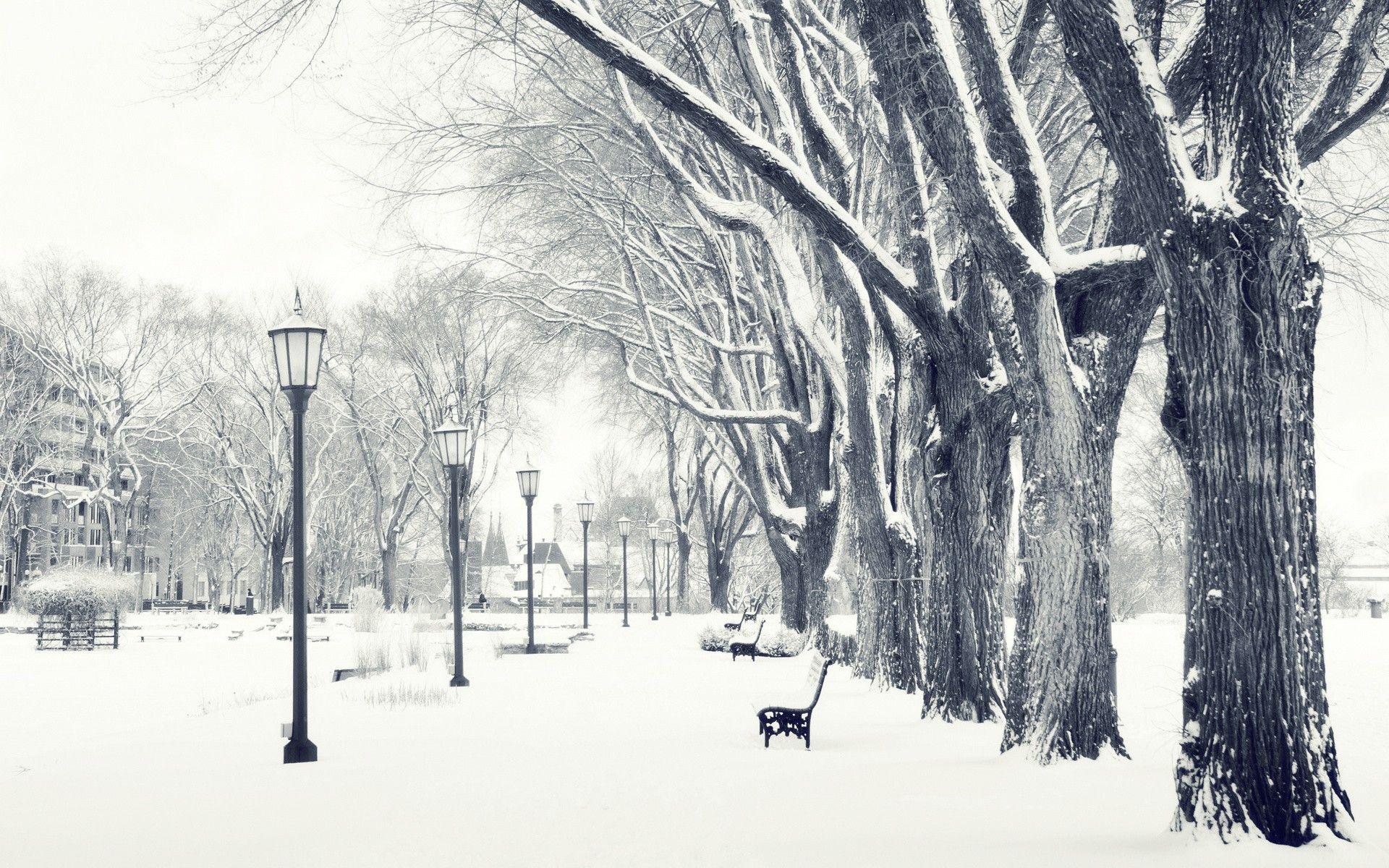1920x1200 Winter Scenery Wallpaperx1200