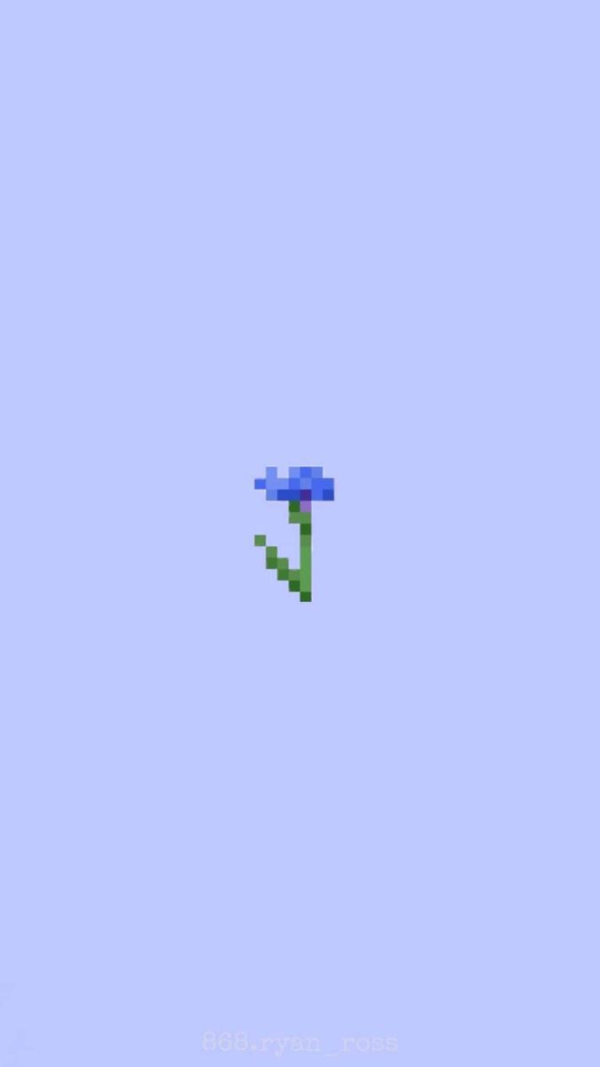 675x1200 pixel flower