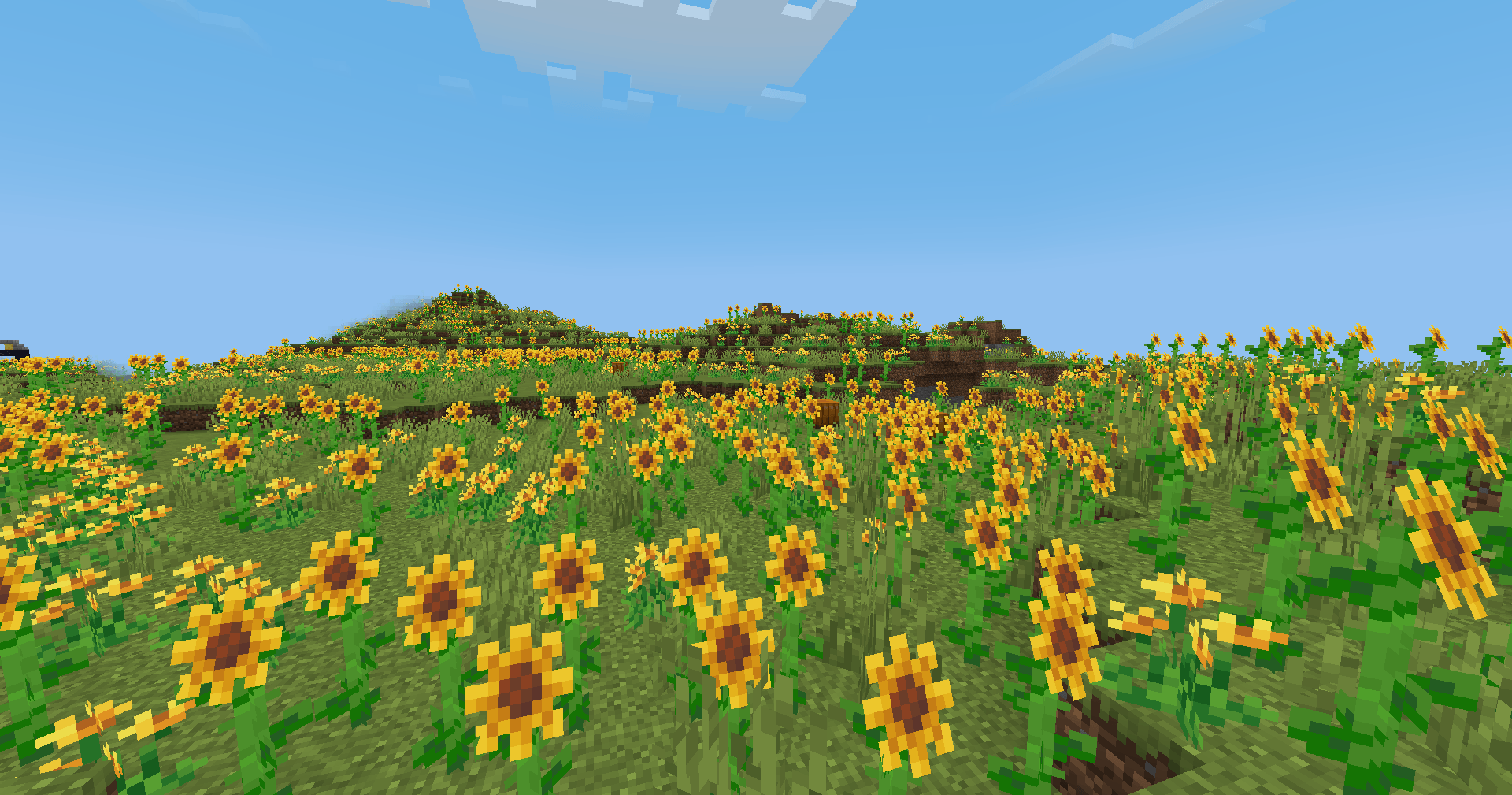1920x1009 Freshly Floral Resource Packs