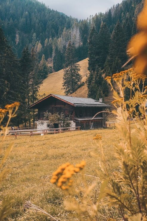 493x740 Wooden mountain retreat Image