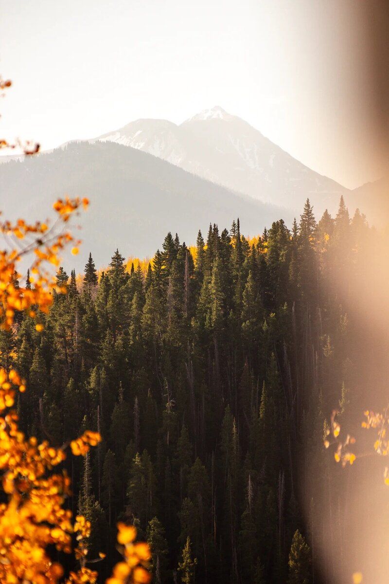 800x1200 Colorado Mountain Retreat For The Adventure Seeking Woman