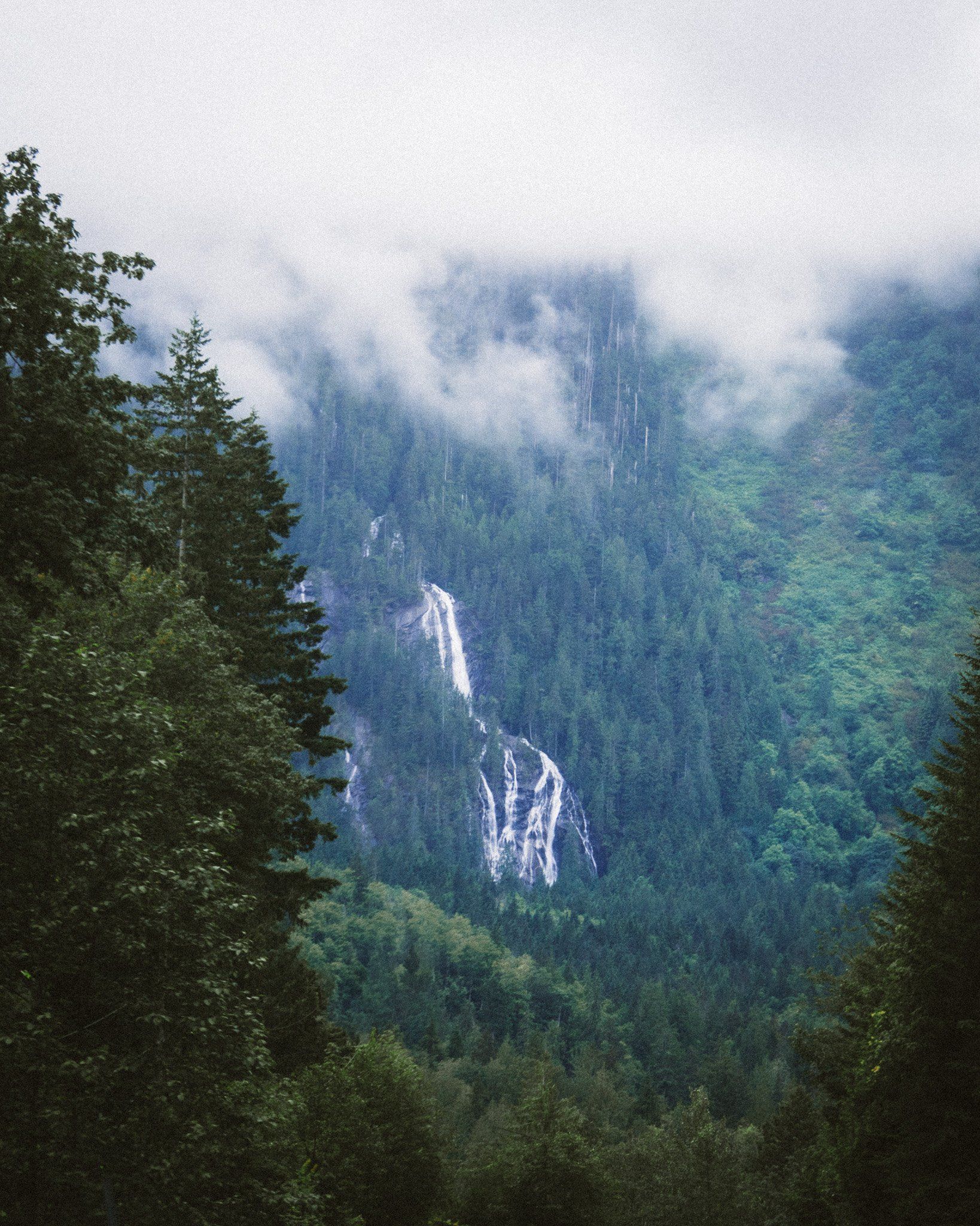 1638x2048 Discovering Greenery Mountain Retreat in Skykomish, Washington