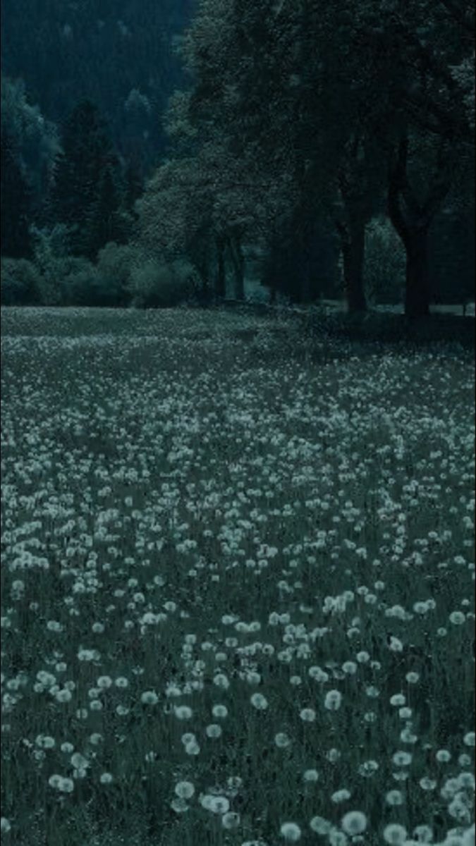 675x1200 Gloomcore ideas. dark green aesthetic, dark naturalism, nature aesthetic