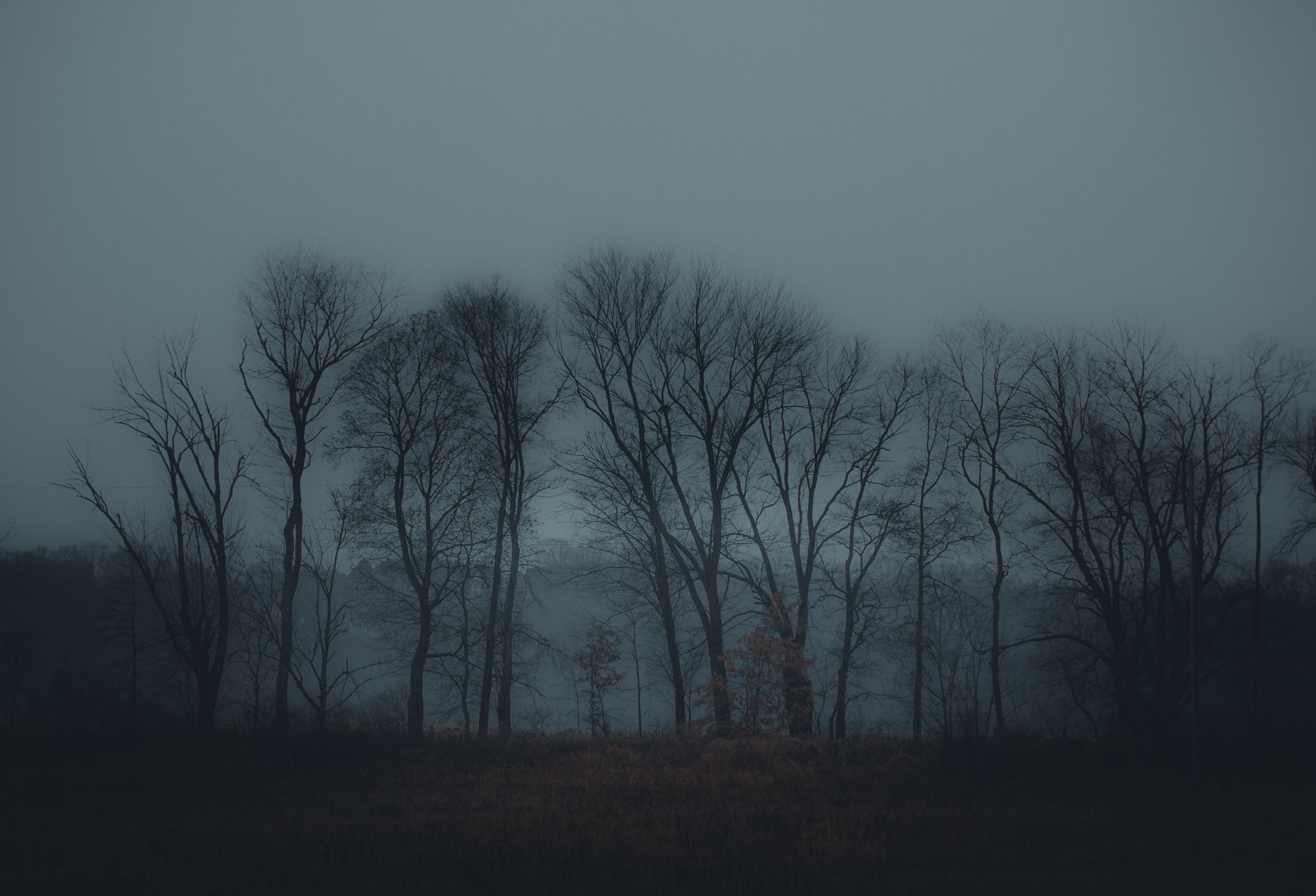 5607x3819 I've been told I have a certain Aesthetic to my work. I just call it melancholy