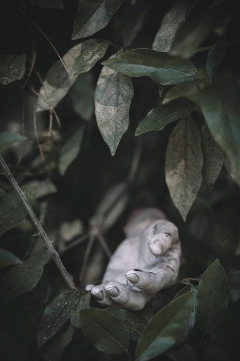 493x740 Gloomcore aesthetics Image