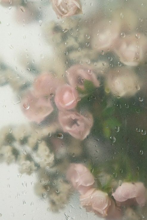 494x740 Gloomcore Aesthetics Photo Free High Quality Picture