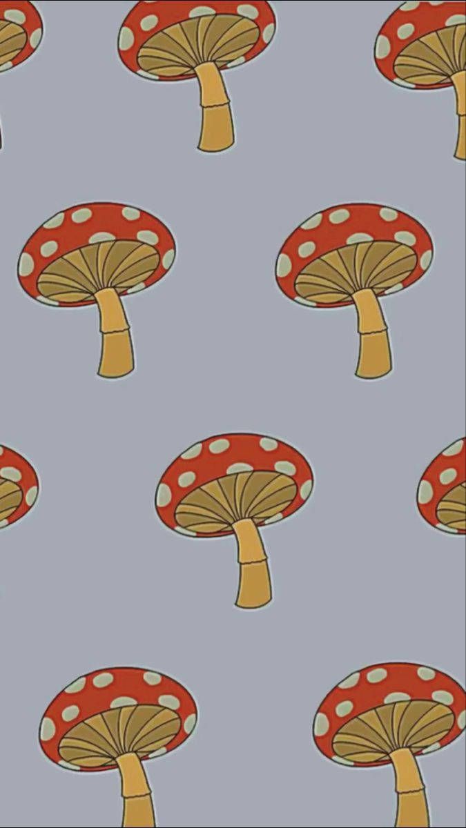 675x1200 Download Pattern Mushroom Aesthetic Wallpaper