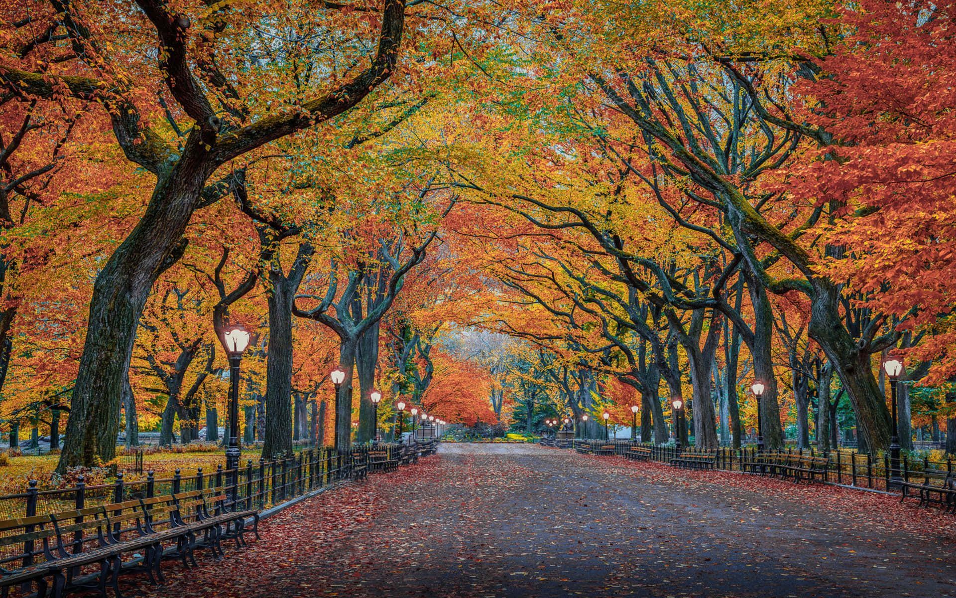 1920x1200 Fall City Wallpaper