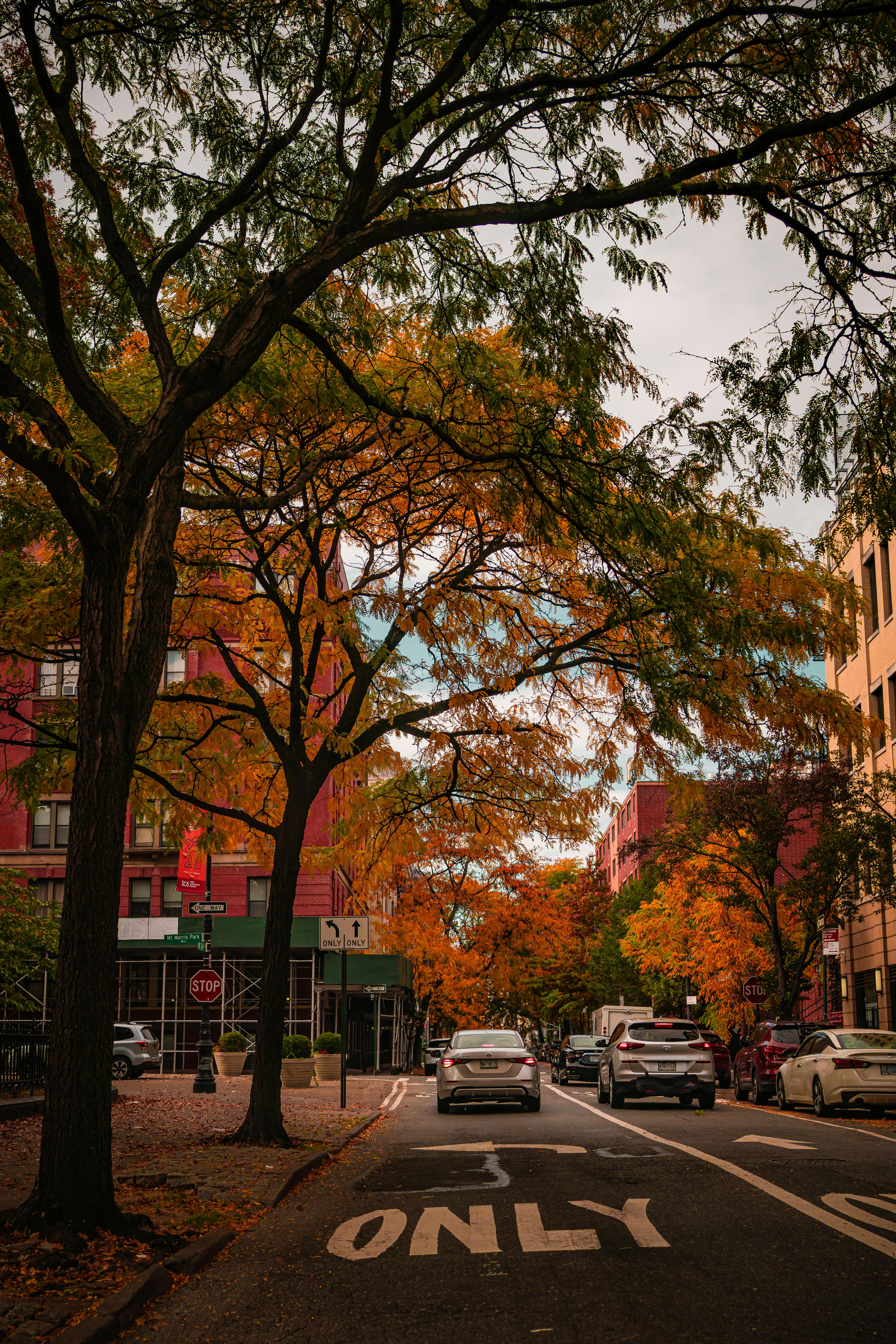 4587x6877 Autumn Street in New York City · Free