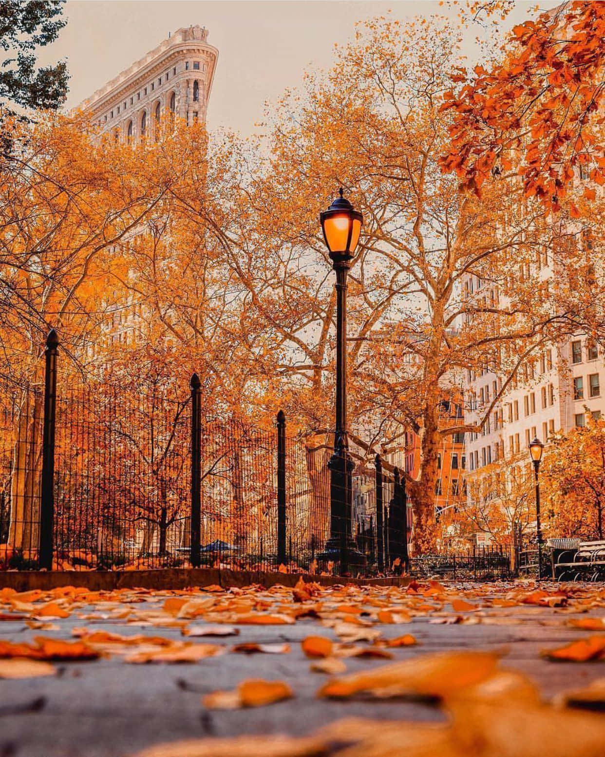 1242x1554 Download Scenic Fall City Landscape with Colorful Foliage Wallpaper