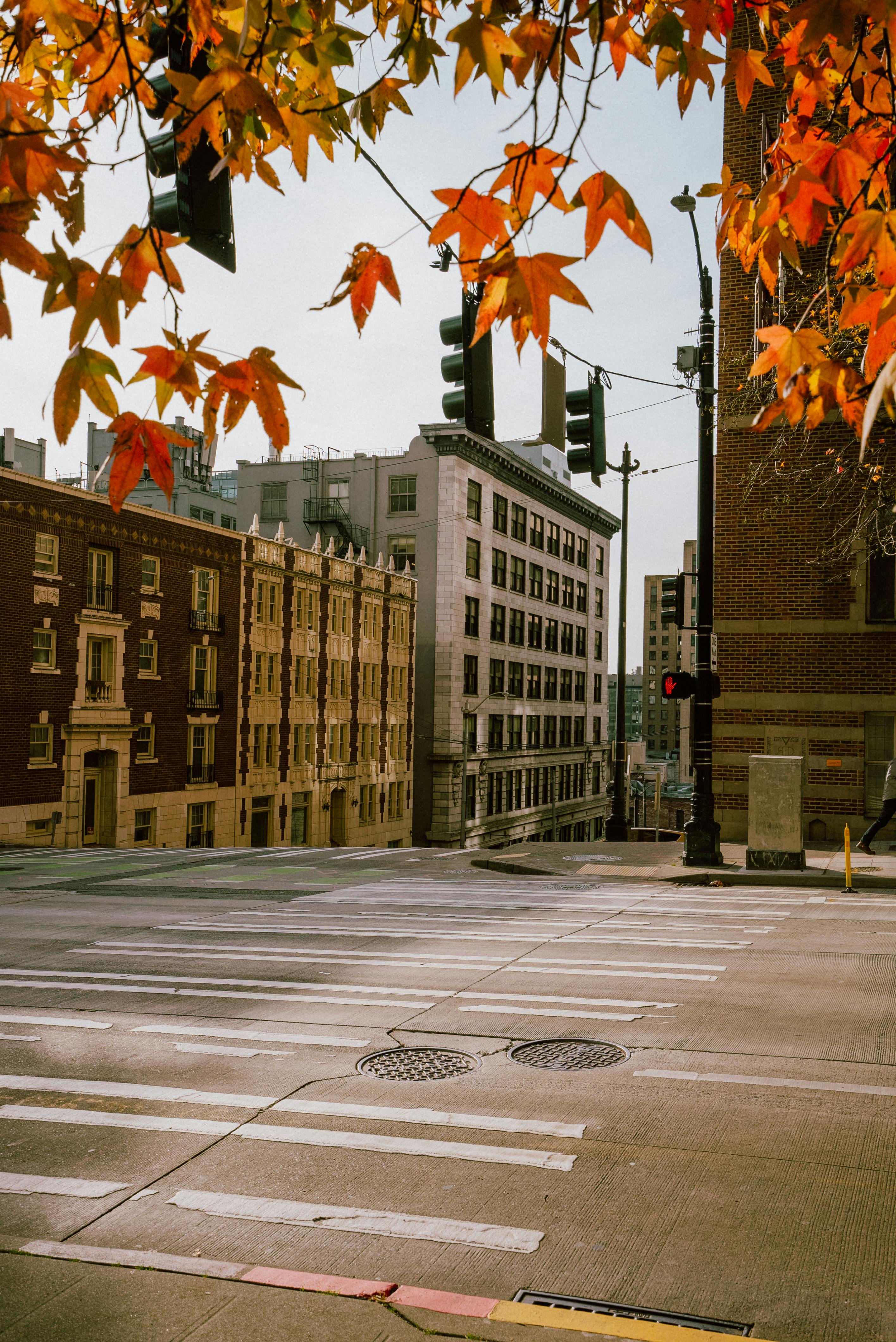2832x4240 City Street in Autumn · Free