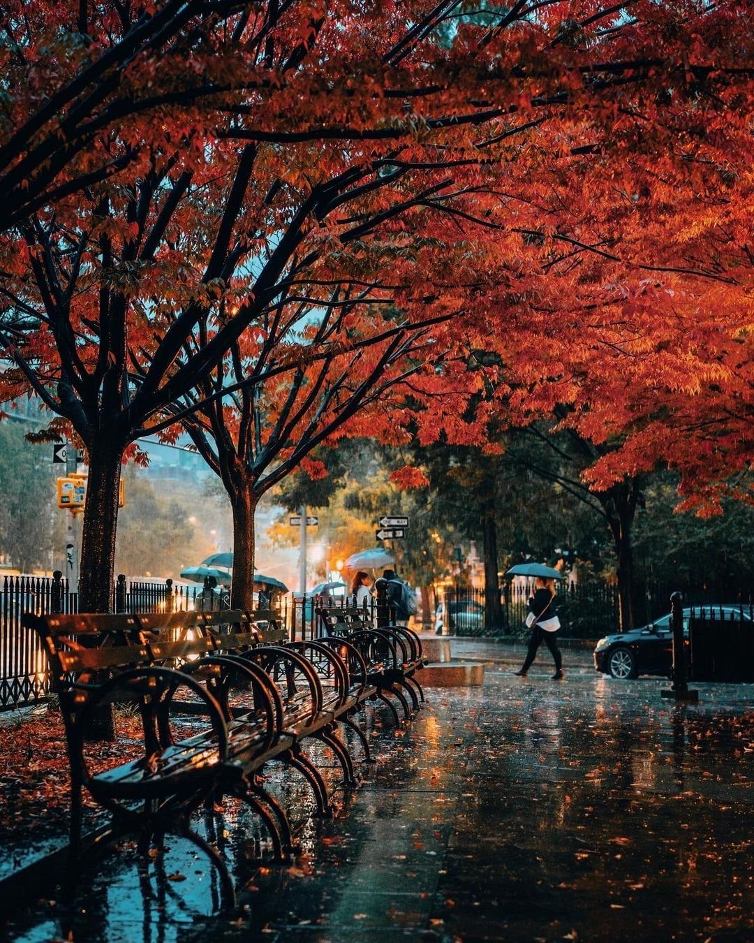 1080x1350 Autumn rain in Greenwich Village, Lower Manhattan, New York City