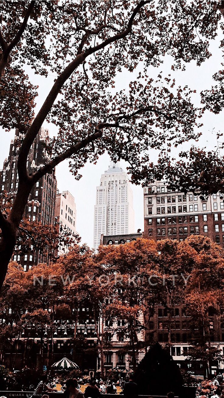 736x1308 NYC Autumn Wallpaper
