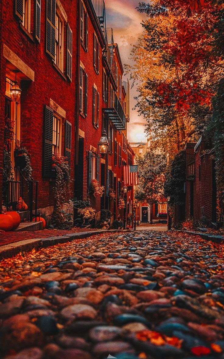 736x1177 Autumn has always been my favorite season. The time when everything bursts with its last beauty, as. Fotografia de paisagem, Lindas paisagens, Wallpaper bonitos