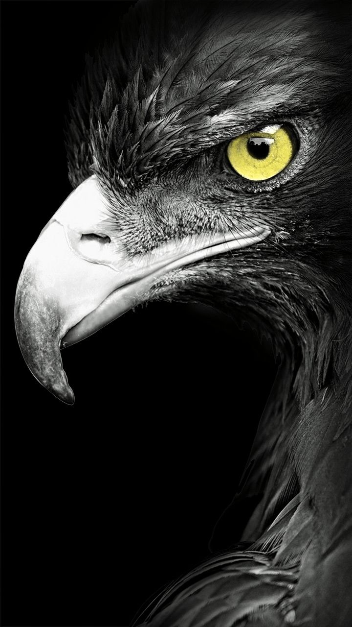 720x1280 Ulefone Metal Stock Wallpaper HD. TurkDevs Android Geliştiriciler Forumu