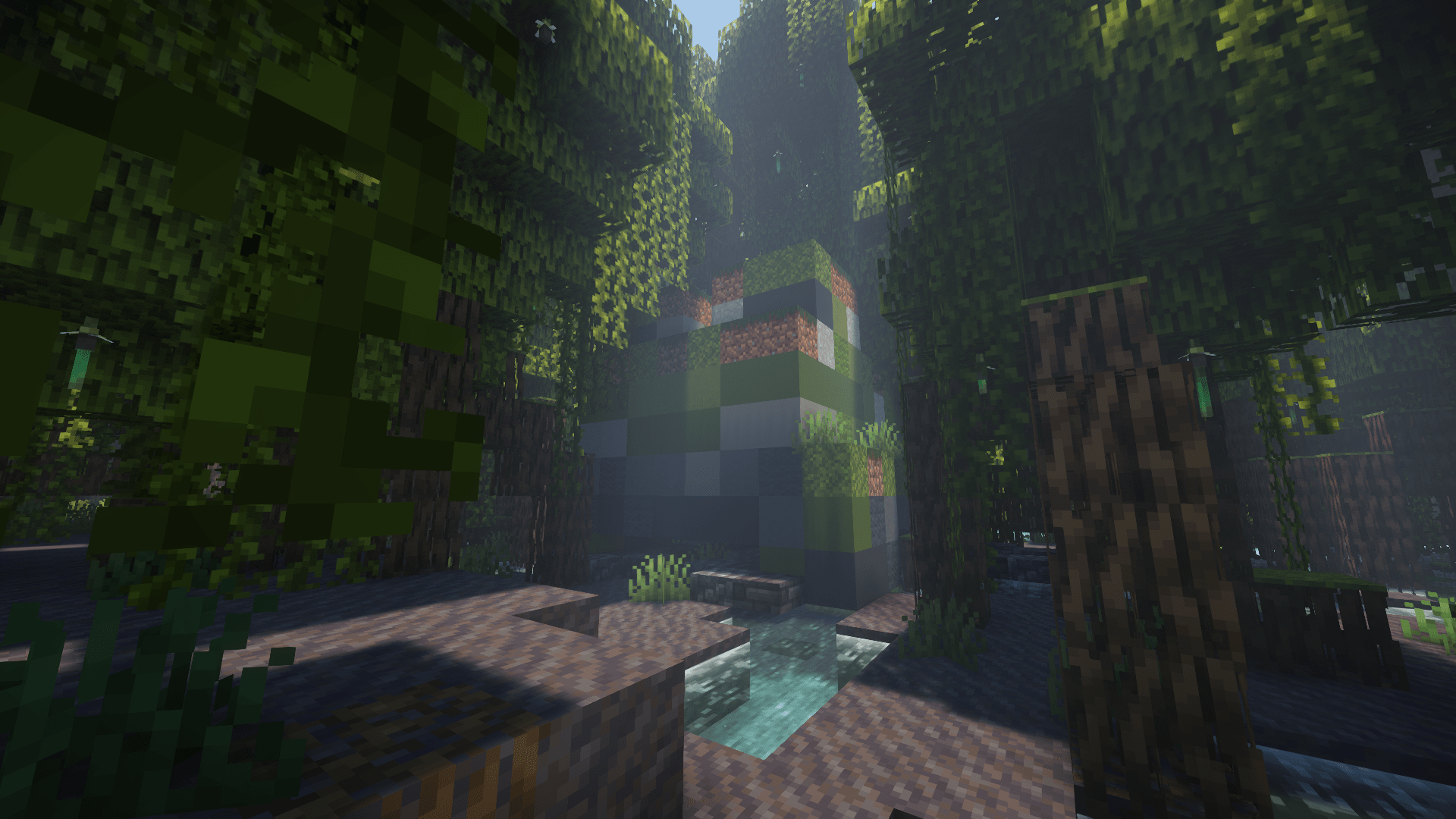 1920x1080 Swamp Frog Hideout