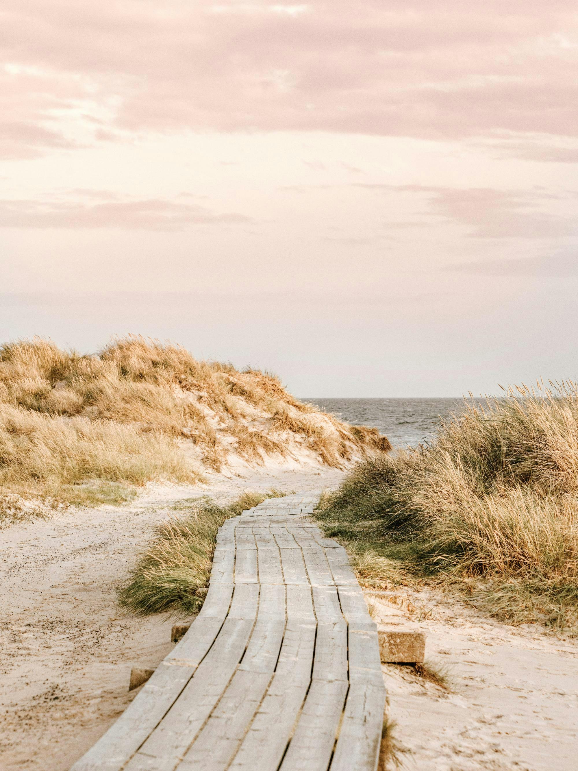 2000x2667 Walk to Sea Poster with Coastal Landscape. Poster Store US