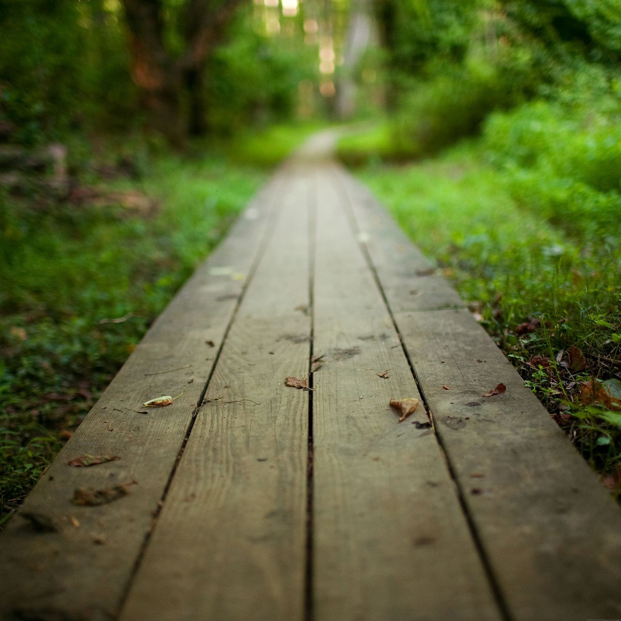 2048x2048 Nature Park Long Wooden Road iPad Air Wallpaper Free Download