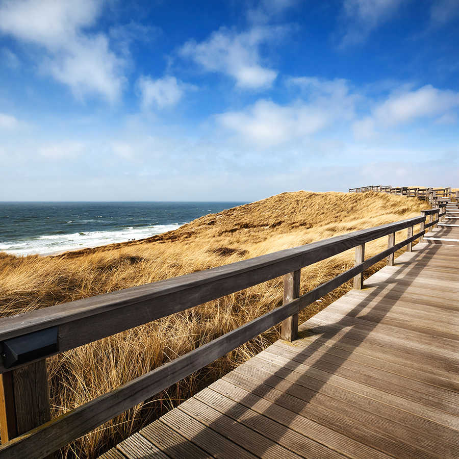 900x900 Nature Wallpaper Wooden Path Through Dunes to the Beach on Matt Smooth Nonwoven
