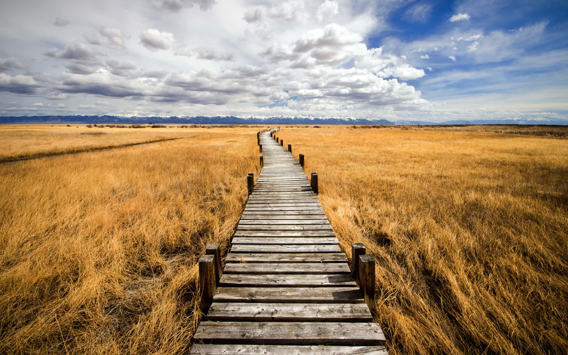 1920x1200 Download Wooden Path In A Field Wallpaper