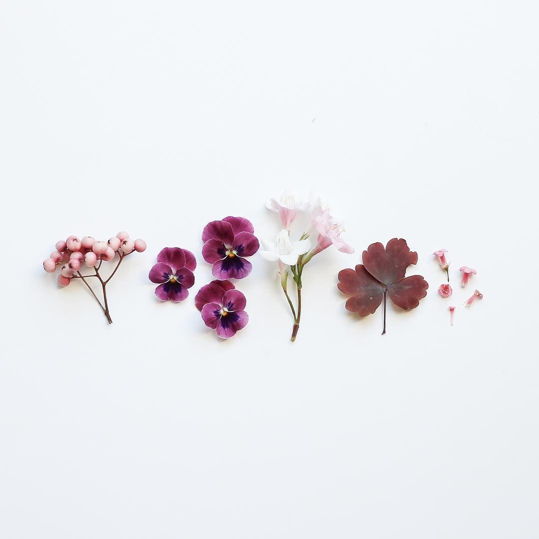 Dried Flowers Wallpapers - Top Free Dried Flowers Backgrounds