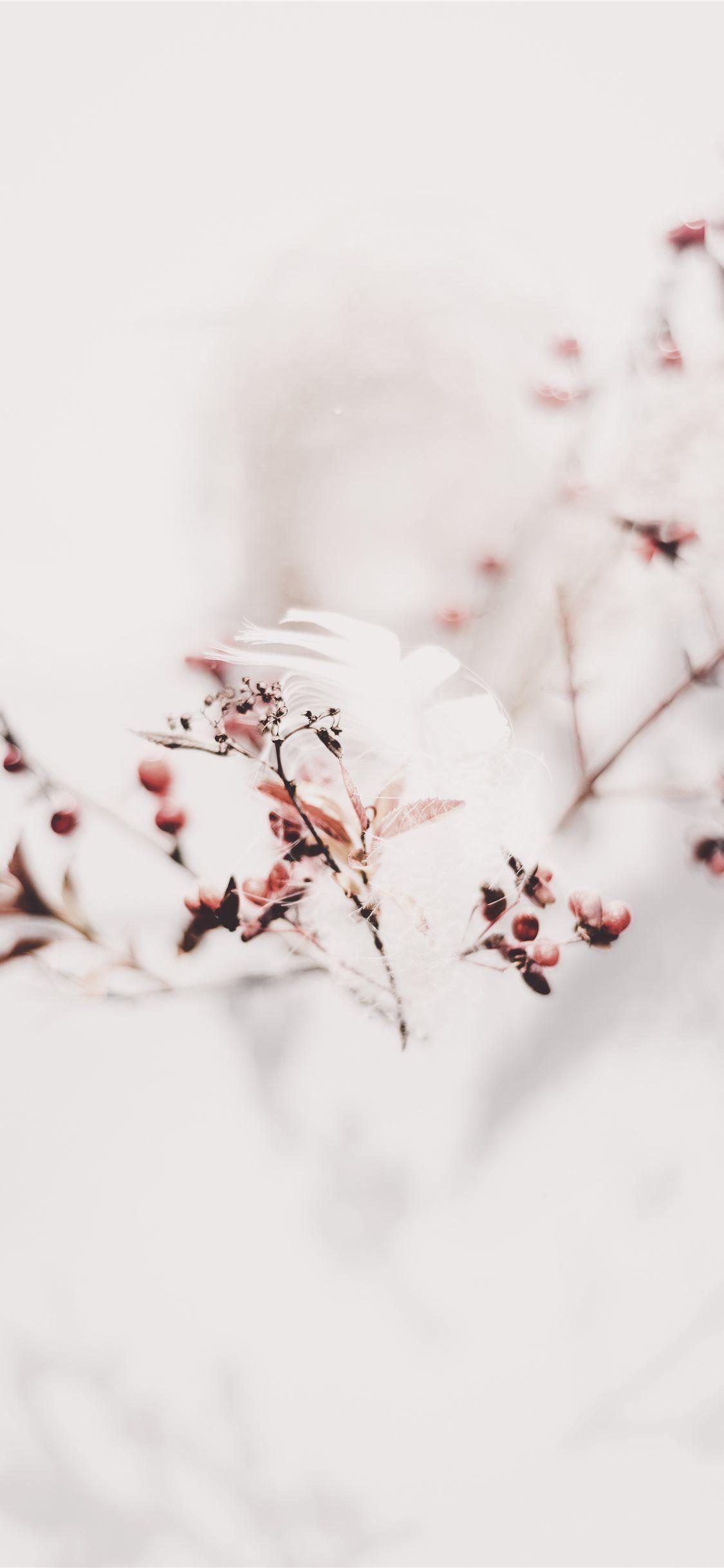 1125x2436 Feather and Branches iPhone X Wallpaper Free Download
