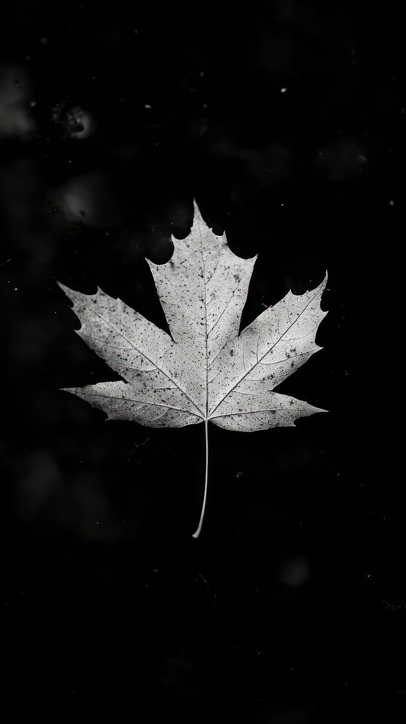 800x1427 Black Background Wallpaper Image Wallpaper