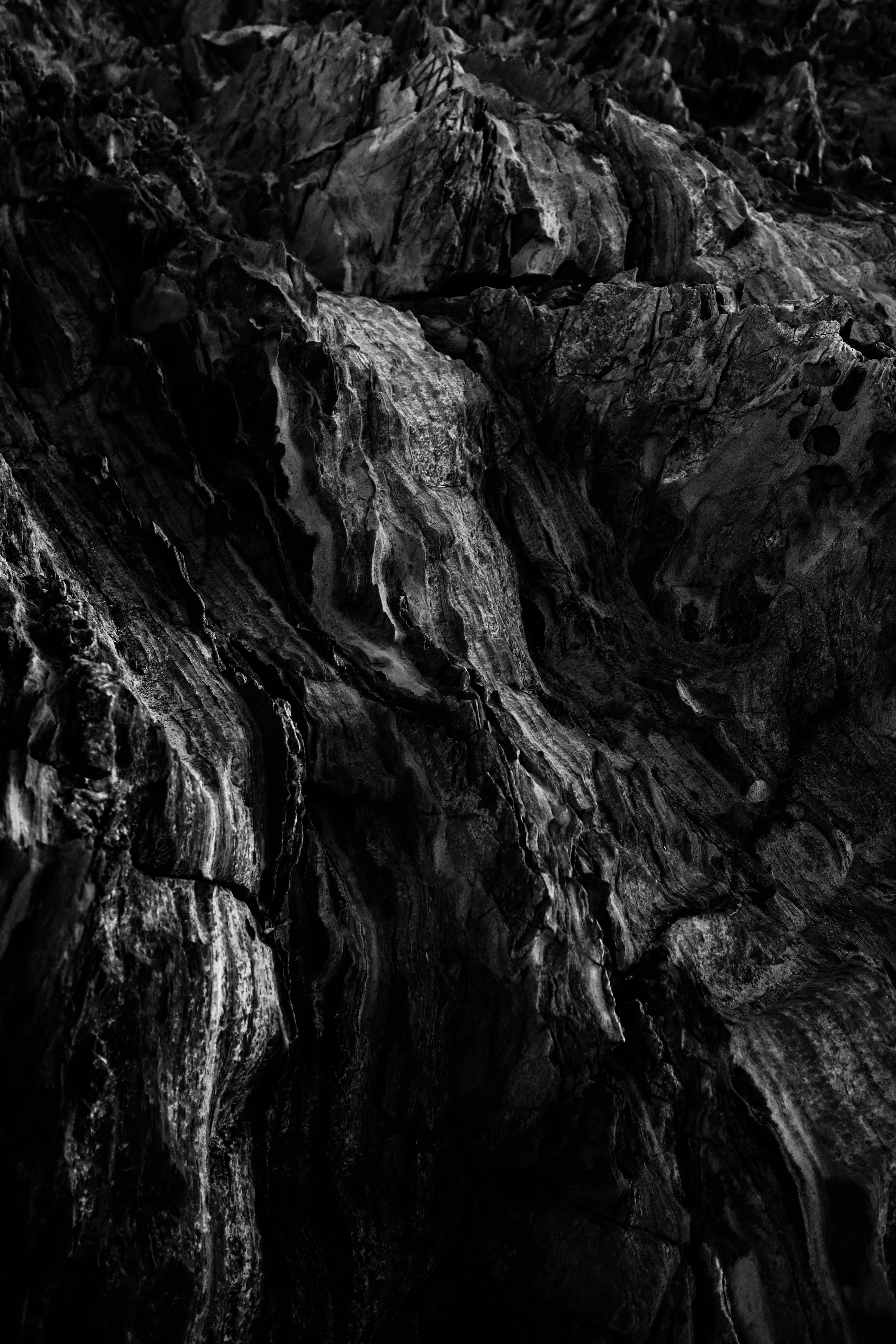 4000x6000 Black And White Background Photo, Download The BEST Free Black And White Background & HD Image